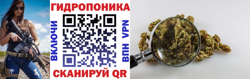 Где купить наркоту Ряжск ГАШ Конопля СК Галлюциногенные грибы Меф